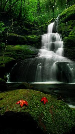 Best Nature-2-.jpg Mixed